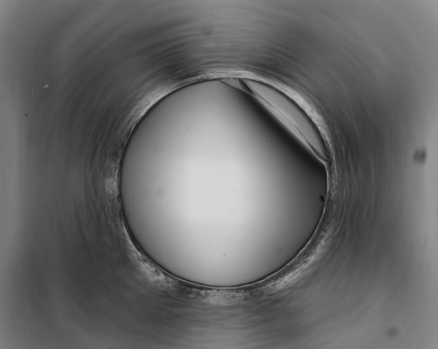 X0000099560905200806061537