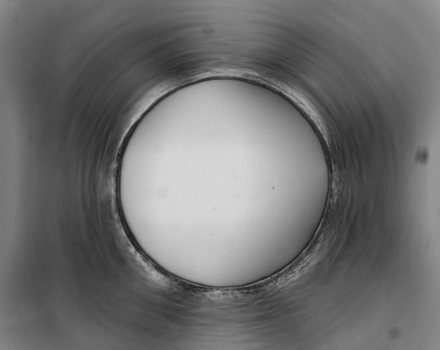 X0000099560906200806061537