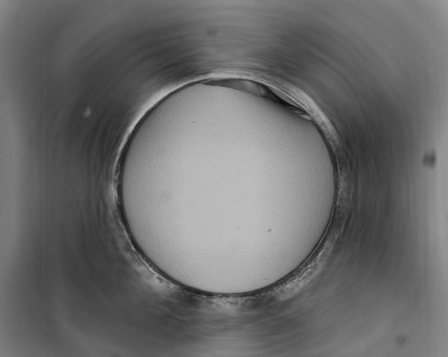 X0000099560908200806061537