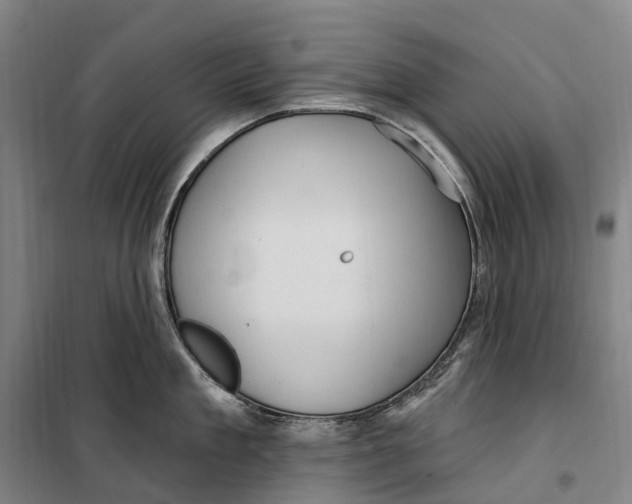 X0000099560909200806061537