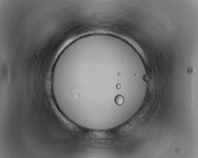 X0000099560911200806061537