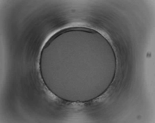 X0000099560912200806061537