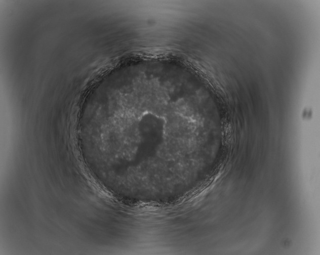 X0000099560913200806061536