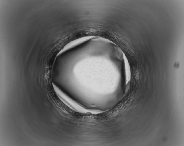 X0000099560914200806061536