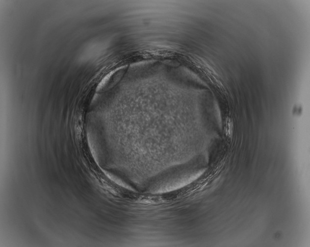 X0000099560915200806061536