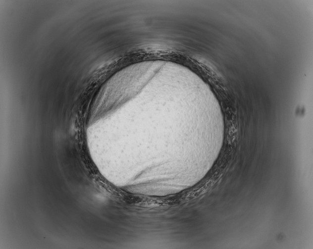 X0000099560917200806061536