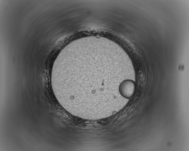 X0000099560918200806061536