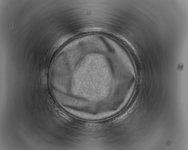 X0000099560921200806061536