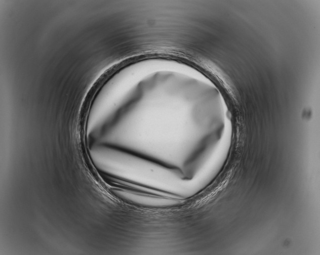 X0000099560924200806061536