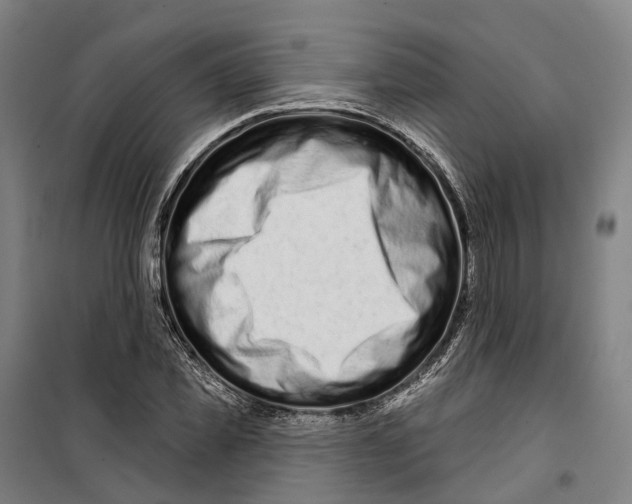 X0000099560925200806061536