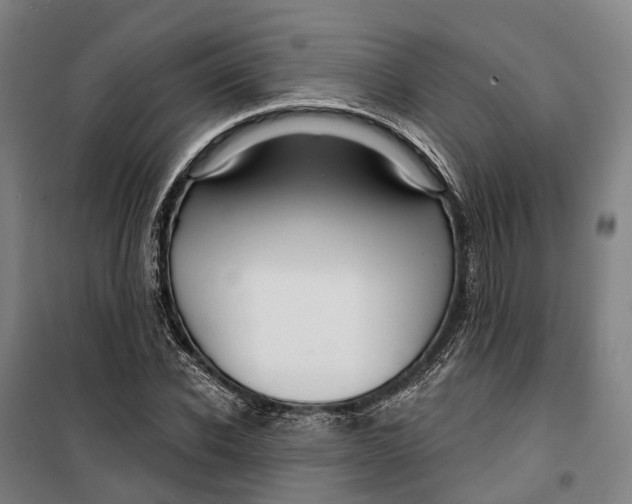 X0000099560926200806061536