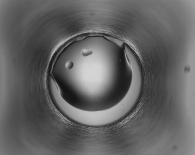 X0000099560928200806061536