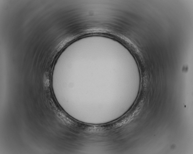 X0000099560929200806061536