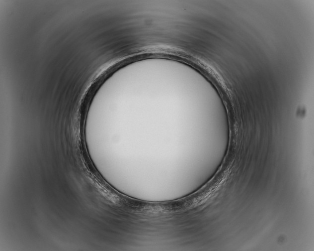 X0000099560931200806061536