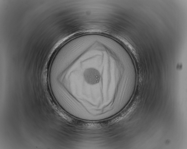 X0000099560933200806061536