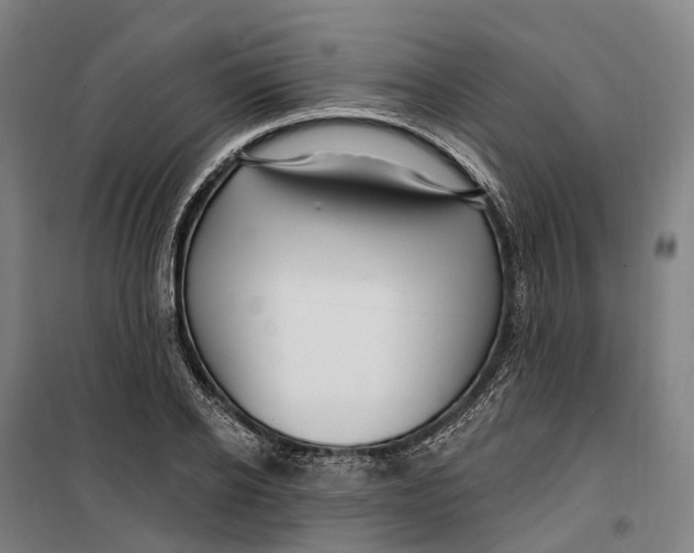 X0000099560934200806061536