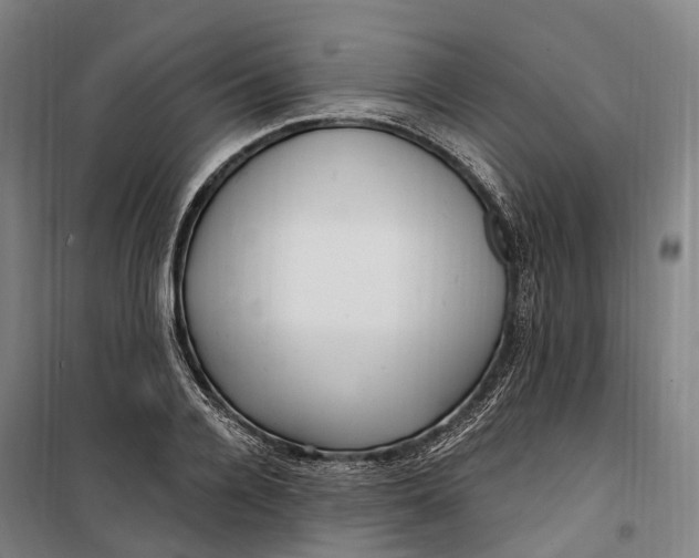 X0000099560936200806061536