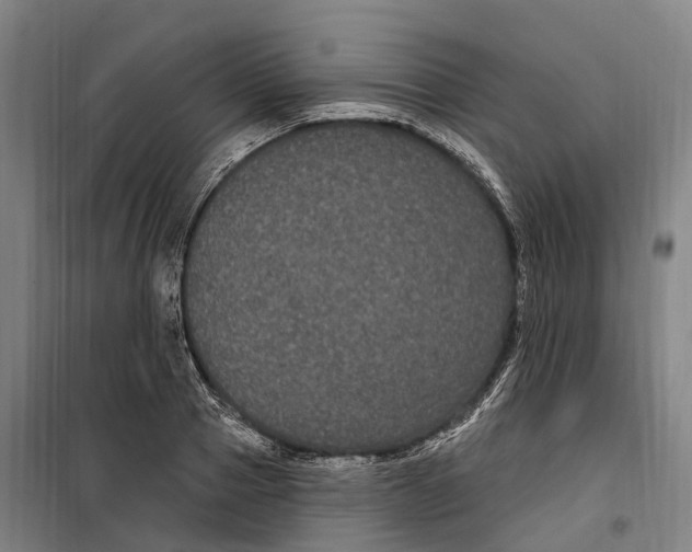 X0000099560937200806061536