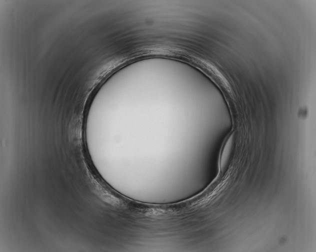 X0000099560938200806061536