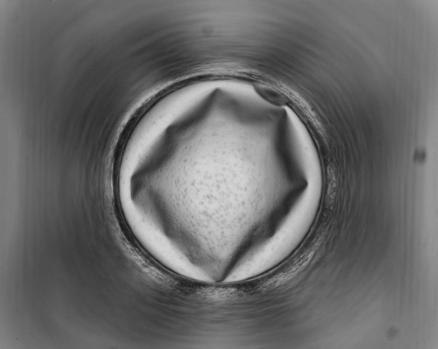 X0000099560939200806061536