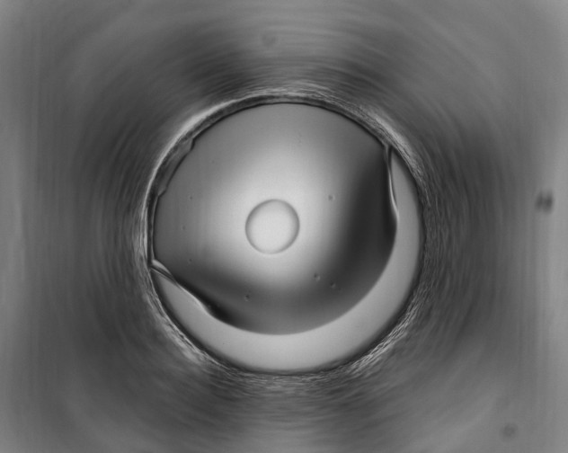 X0000099560940200806061536