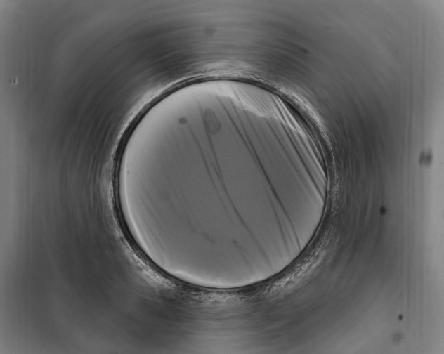 X0000099560941200806061536