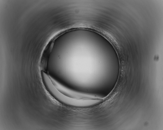 X0000099560942200806061537