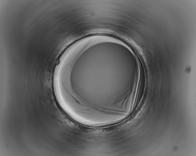 X0000099560945200806061537