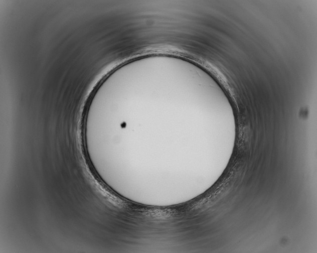 X0000099560947200806061537