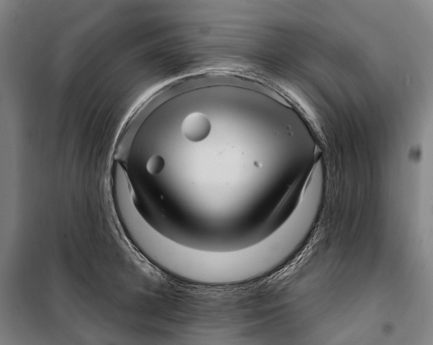 X0000099560948200806061537