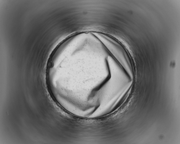 X0000099560949200806061537