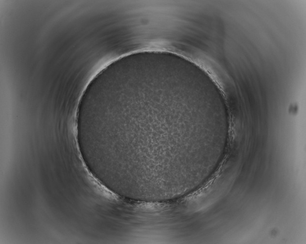 X0000099560950200806061537