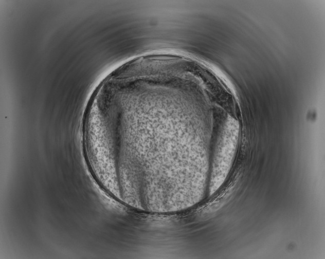 X0000099560951200806061537