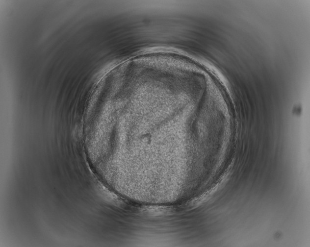 X0000099560953200806061537