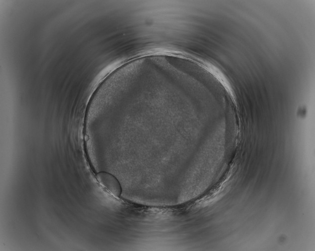 X0000099560954200806061537