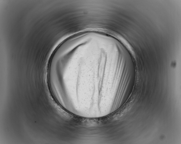 X0000099560955200806061537