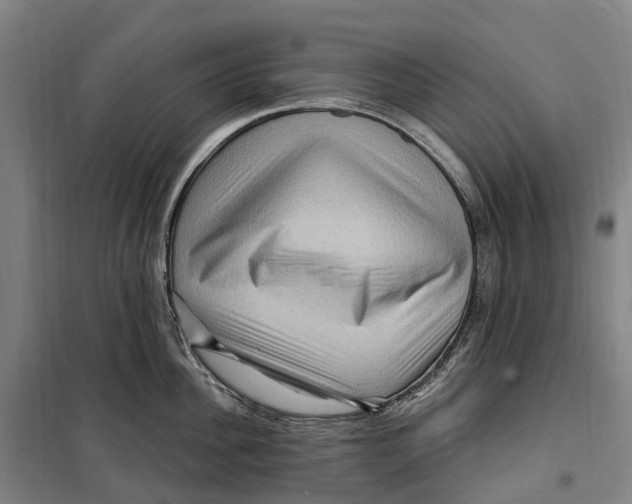 X0000099560956200806061537