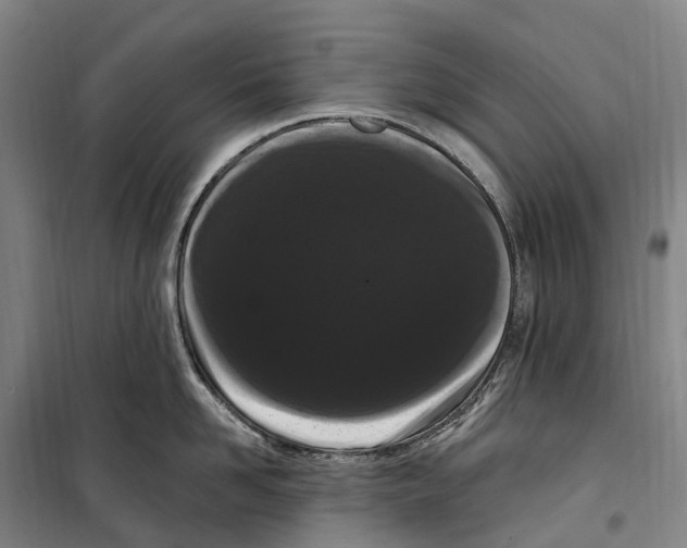 X0000099560958200806061537