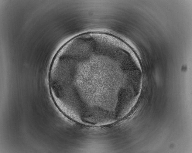 X0000099560959200806061537