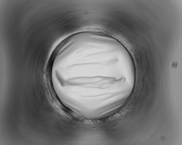 X0000099560960200806061537