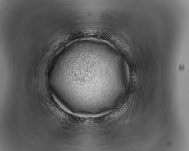 X0000099560961200806061536