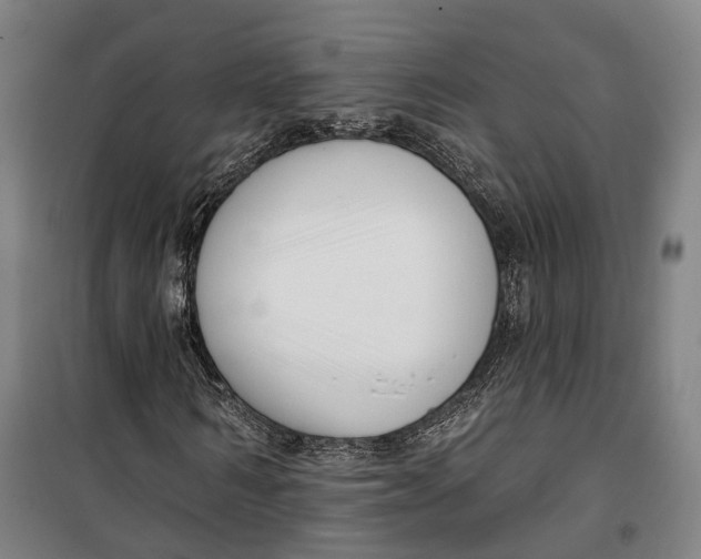 X0000099560962200806061536