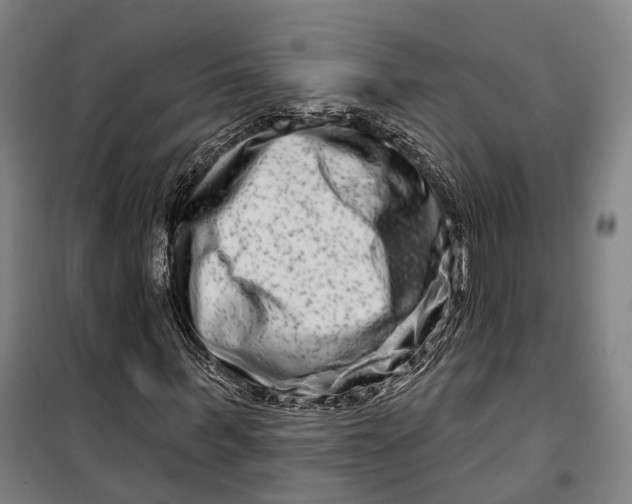 X0000099560963200806061536