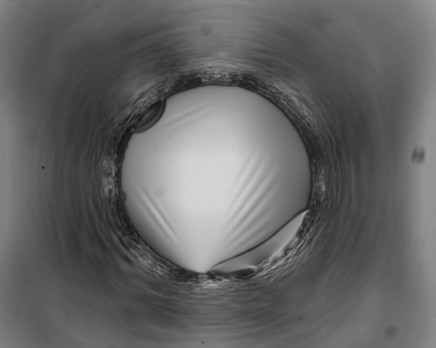 X0000099560964200806061536