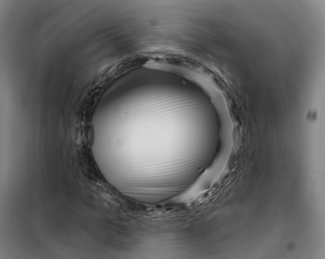 X0000099560965200806061536