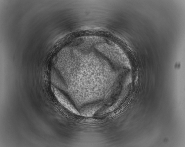 X0000099560966200806061536