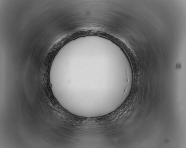 X0000099560967200806061536