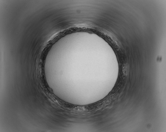 X0000099560968200806061536