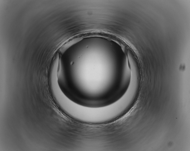 X0000099560969200806061536