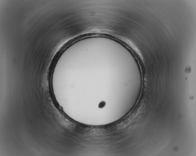 X0000099560972200806061536